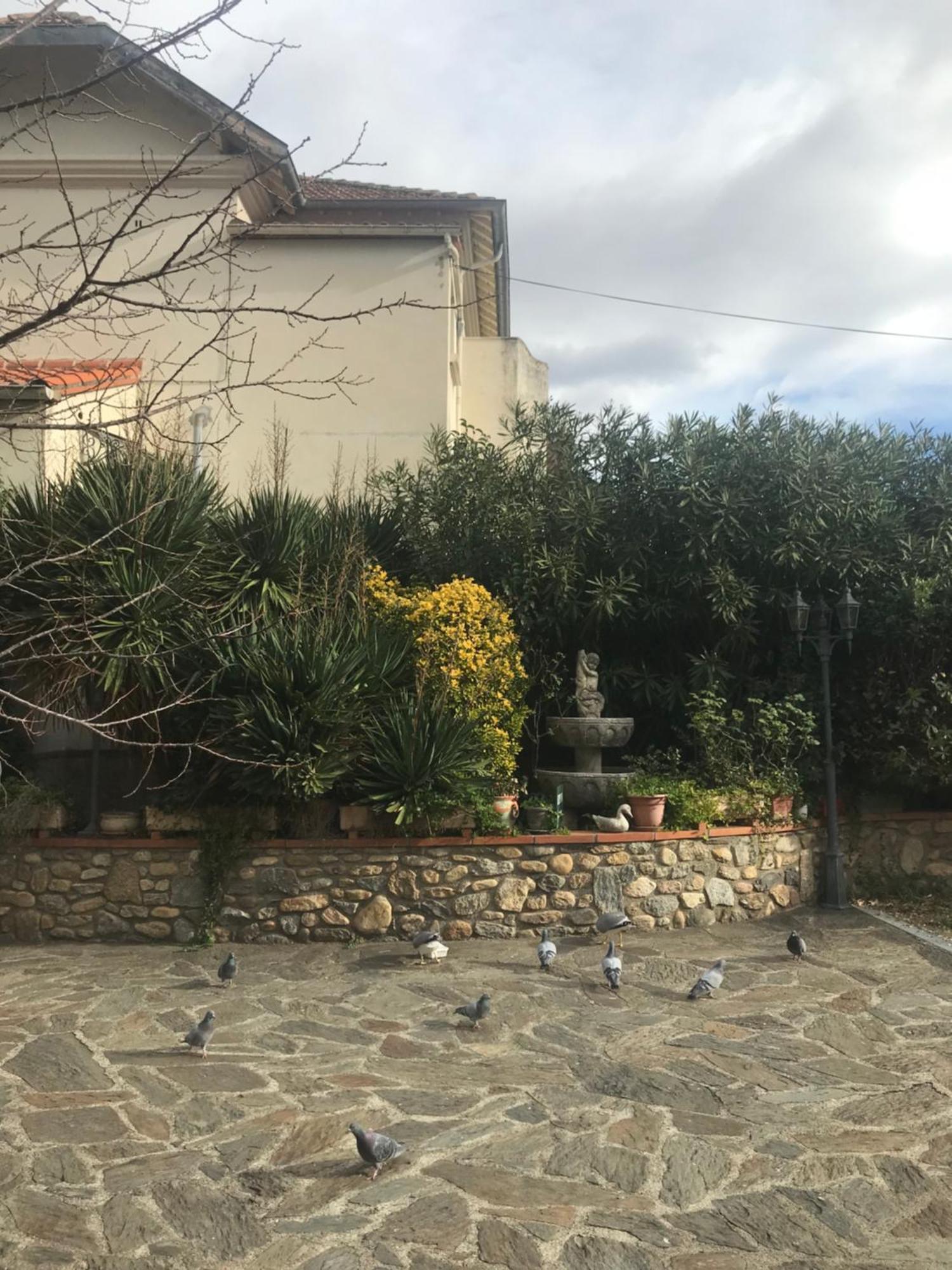 Hebergements A La Rive, Accueil Ouvert Tous Les Jours Jusqu'A 20H00 Dernier Delai, Depuis 30 Ans ! Reserver Ici Svp ! Merci ! Aucun Reglement A Distance Accepte, Paiement Par Cb, Especes, Cheque Ou Cheques-Vacances Imperativement A La Remise Des Clef Amélie-les-Bains-Palalda Kültér fotó