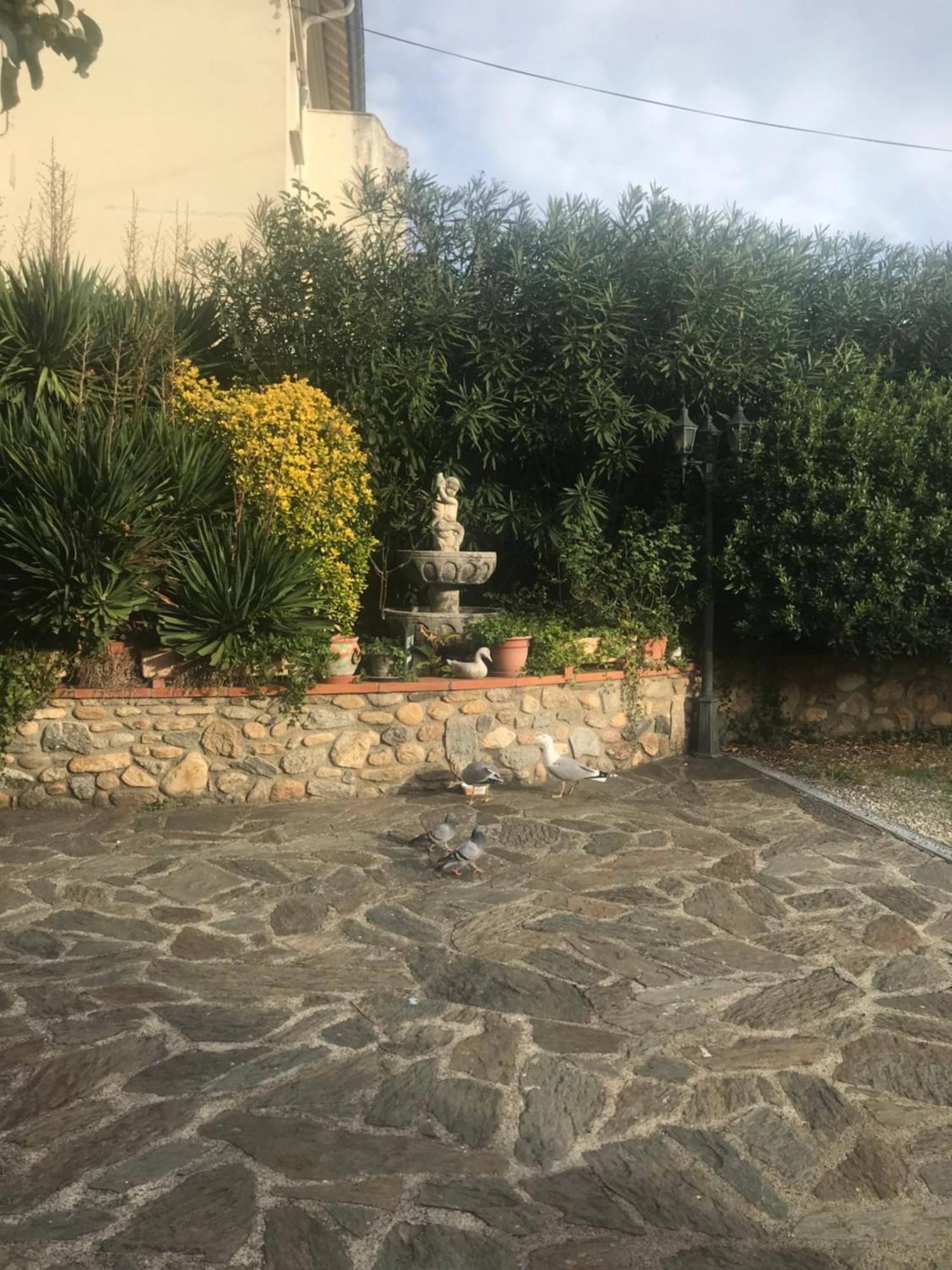 Hebergements A La Rive, Accueil Ouvert Tous Les Jours Jusqu'A 20H00 Dernier Delai, Depuis 30 Ans ! Reserver Ici Svp ! Merci ! Aucun Reglement A Distance Accepte, Paiement Par Cb, Especes, Cheque Ou Cheques-Vacances Imperativement A La Remise Des Clef Amélie-les-Bains-Palalda Kültér fotó
